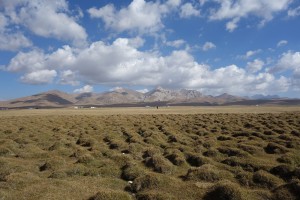 JAKARTA DISORDER-Tour: "Bir Duino Kyrgyzstan 2014", high plains, nomad's yurts (background)